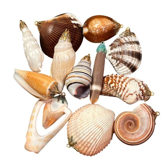 Lot of 12 Natural Sea Shell Pendants Jewelry Making Beach Boho Craft Supplies - Picture 1 of 11